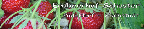 Logo Erdbeeren